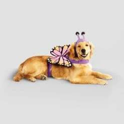 Halloween Full Body LED Butterfly Cat and Dog Costume - Hyde & EEK! Boutique™ -Hyde & EEK! Boutique Shop GUEST 034aba42 c65a 472d 8dbe 5c8509c04883 1
