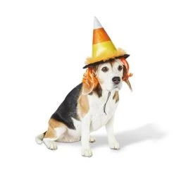 Candy Corn Witch Hat Dog and Cat Costume - Hyde & EEK! Boutique™ -Hyde & EEK! Boutique Shop GUEST 037c0a28 b98e 4f3b 9f2c 8b0db0b93ba7