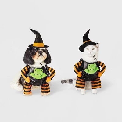 Witch with Toy Frog Dog and Cat Costume - Hyde & EEK! Boutique™ 4 Witch with Toy Frog Dog and Cat Costume - Hyde & EEK! Boutique™ - Image 4