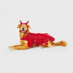 Lobster Dog and Cat Costume - Hyde & EEK! Boutique™ -Hyde & EEK! Boutique Shop GUEST 293e419f b553 4351 9e2c aac1e754b632 2