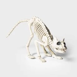 Hyde & EEK! Boutique 13" Cat Skeleton Halloween Decorative Prop - Hyde & EEK! Boutique™