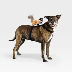Rider Wings Halloween Superhero Squirrel Cat and Dog Costume - Hyde & EEK! Boutique™ -Hyde & EEK! Boutique Shop GUEST 3cbb9586 10b9 4523 bcaf a6156905b131
