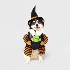 Witch with Toy Frog Dog and Cat Costume - Hyde & EEK! Boutique™ 13 Witch with Toy Frog Dog and Cat Costume - Hyde & EEK! Boutique™ -Hyde & EEK! Boutique Shop GUEST 3f06d9a9 2c9a 4995 97d3 92d0aac75712