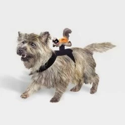 Rider Wings Halloween Superhero Squirrel Cat and Dog Costume - Hyde & EEK! Boutique™ -Hyde & EEK! Boutique Shop GUEST 47f8fb9b 2747 4874 8303 03ba78691f54