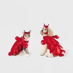 Lobster Dog and Cat Costume - Hyde & EEK! Boutique™ -Hyde & EEK! Boutique Shop GUEST 4e7340f4 803b 42a5 b617 b8184232a893 1