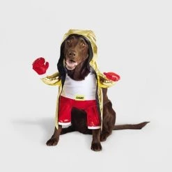 Halloween Frontal Boxer Cat and Dog Costume - Hyde & EEK! Boutique™ -Hyde & EEK! Boutique Shop GUEST 572d5b88 d74a 4232 8383 5d37ea29a3de 1