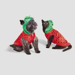 Basic Halloween Strawberry Cat and Dog Hoodie - Hyde & EEK! Boutique™ 16 Basic Halloween Strawberry Cat and Dog Hoodie - Hyde & EEK! Boutique™ -Hyde & EEK! Boutique Shop GUEST 602f238f b5de 4575 804c cedc95b8509e