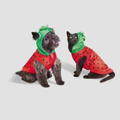 Basic Halloween Strawberry Cat and Dog Hoodie - Hyde & EEK! Boutique™ 6 Basic Halloween Strawberry Cat and Dog Hoodie - Hyde & EEK! Boutique™ - Image 6