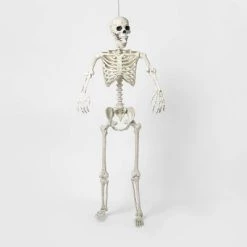 Hyde & EEK! Boutique 60" Posable Skeleton Halloween Decorative Mannequin - Hyde & EEK! Boutique™