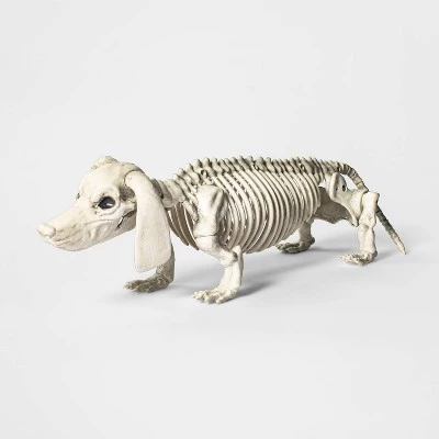 Hyde & EEK! Boutique Dachshund Skeleton Halloween Decorative Prop - Hyde & EEK! Boutique™ 1 Hyde & EEK! Boutique Dachshund Skeleton Halloween Decorative Prop - Hyde & EEK! Boutique™