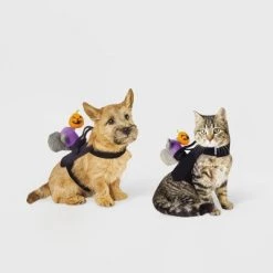 Headless Horseman Squirrel Rider Dog and Cat Costume - Hyde & EEK! Boutique™ -Hyde & EEK! Boutique Shop GUEST 6e9d257d 2f7c 4425 93f0 35d164d8b7a1