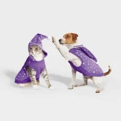 Basic Halloween Velour Wizard Cat and Dog Hoodie - Hyde & EEK! Boutique™ -Hyde & EEK! Boutique Shop GUEST 6f209f4a 3013 45db 97e7 e636650a8522