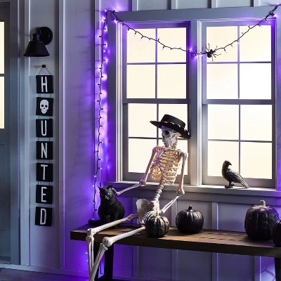 Hyde & EEK! Boutique 350ct Incandescent Halloween Mini String Lights Purple - Hyde & EEK! Boutique™ 1 Hyde & EEK! Boutique 350ct Incandescent Halloween Mini String Lights Purple - Hyde & EEK! Boutique™