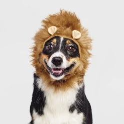 Halloween Lion Cat and Dog Headwear - Hyde & EEK! Boutique™ -Hyde & EEK! Boutique Shop GUEST 8f4ac99b 8908 4bb5 830d eb060bfb391a