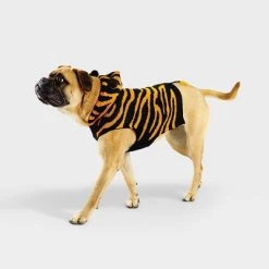 Tiger Halloween Cat and Dog Hoodie - Hyde & EEK! Boutique™ -Hyde & EEK! Boutique Shop GUEST 9cf0faa3 50d0 426d b092 1e97106b9c4d