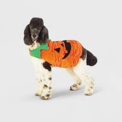 Halloween Plush Pumpkin Dog and Cat Costume - Hyde & EEK! Boutique™ -Hyde & EEK! Boutique Shop GUEST b8b04298 8951 4df0 bec6 867f18b24a65
