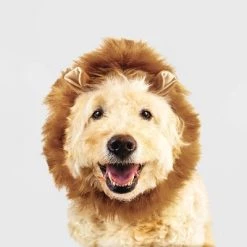 Halloween Lion Cat and Dog Headwear - Hyde & EEK! Boutique™ -Hyde & EEK! Boutique Shop GUEST d5263030 e2f2 455f 8f78 471beb36ac98 1