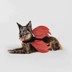 Rider Wings Halloween Red Devil Cat and Dog Costume - Hyde & EEK! Boutique™ -Hyde & EEK! Boutique Shop GUEST d5d516f3 0947 42fe bea5 e99e854c9f30 1