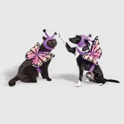 Halloween Full Body LED Butterfly Cat and Dog Costume - Hyde & EEK! Boutique™ -Hyde & EEK! Boutique Shop GUEST d9fe257d 52b2 4ba2 8a57 ef10efe39c60 1